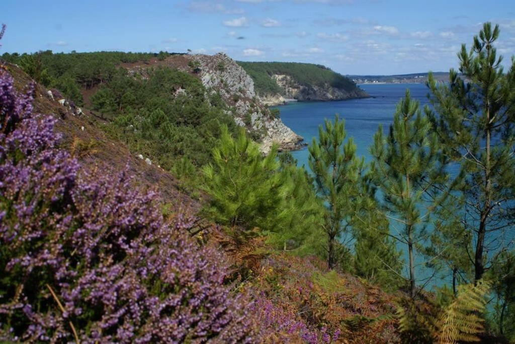 Unique Et Insolite, Chambre Privee - La Caloge De Kastell Dinn Crozon Exteriér fotografie